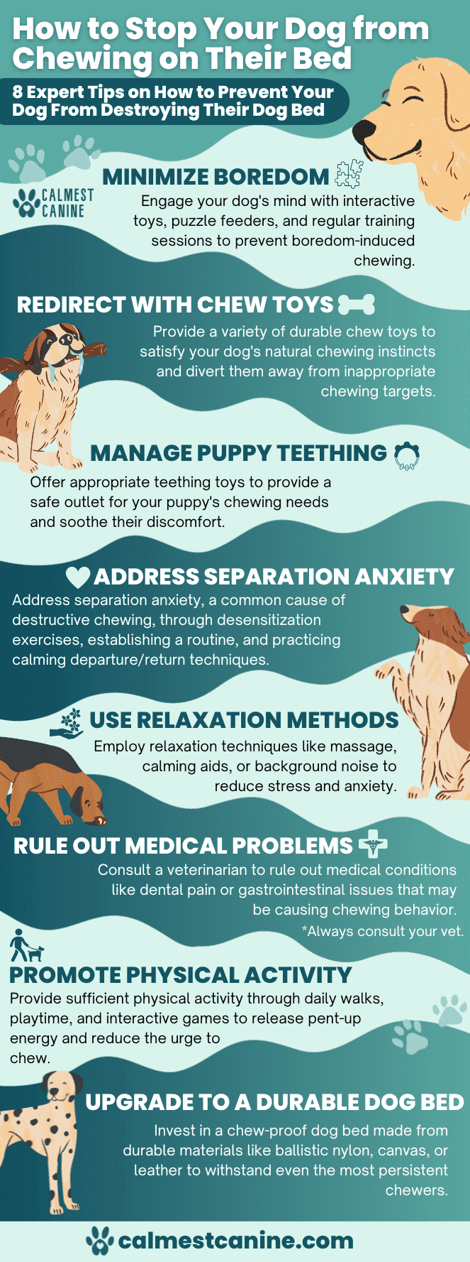 Infographic showing 8 effective tips on how to stop your dog from chewing their bed