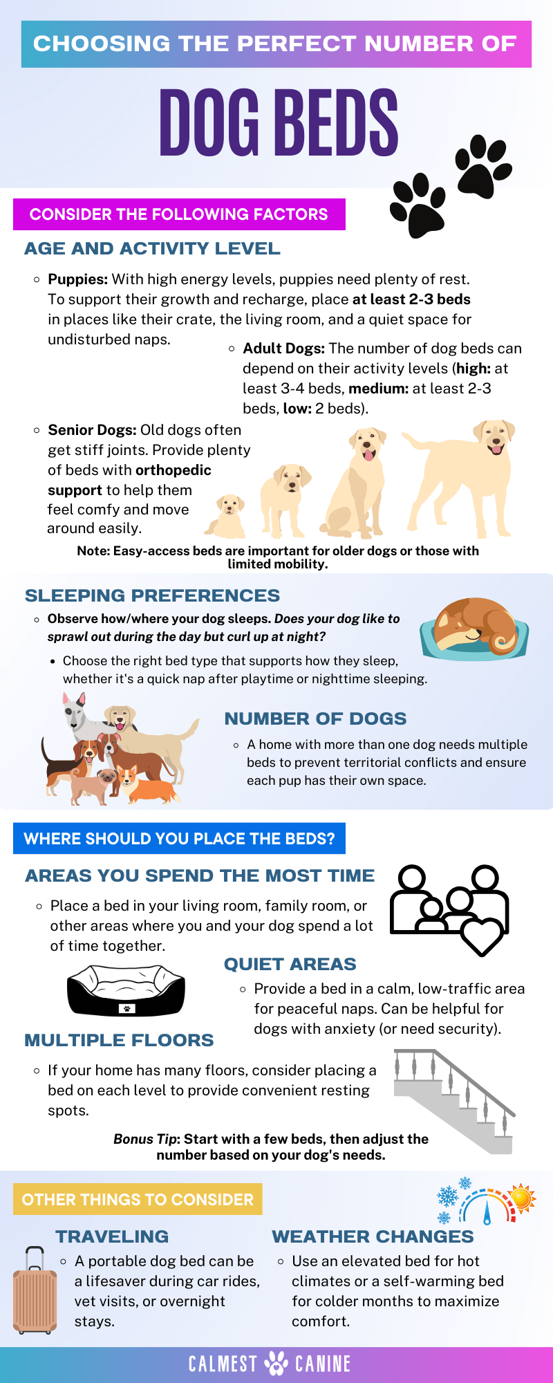Choosing the Perfect Number of Dog Beds Pet Parent Guide