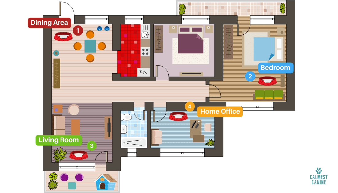 A color-coded floor plan from Calmest Canine showing four strategic dog bed placements: number 1 in the dining area/social zone (red), number 2 in the bedroom/sanctuary zone (blue), number 3 in the living room/social zone (green), and number 4 in the home office/work zone (orange) — illustrating the recommended room-by-room bed placement strategy.
