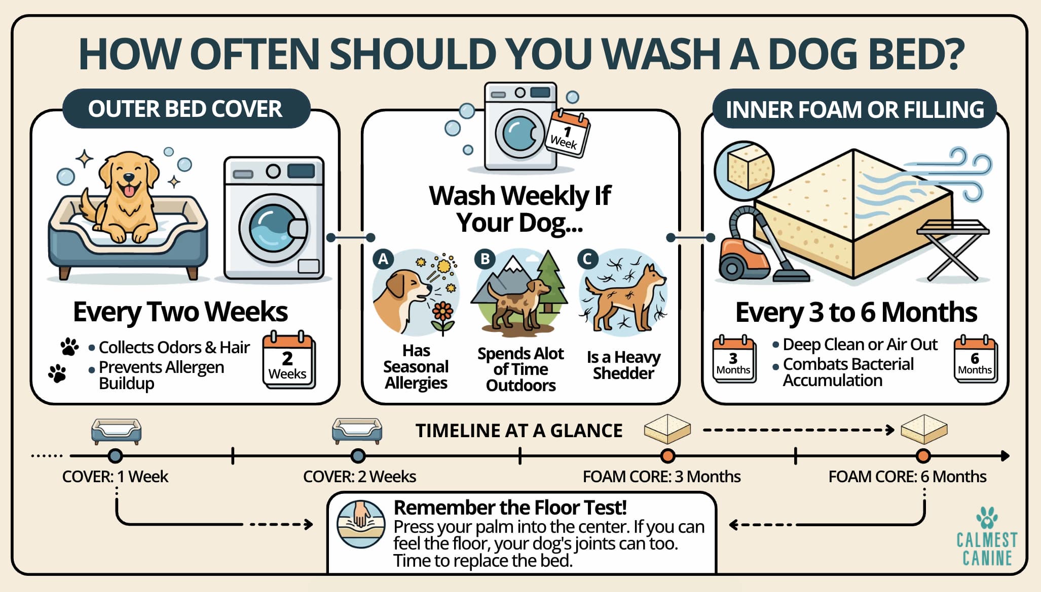 how often should you wash a dog bed infographic