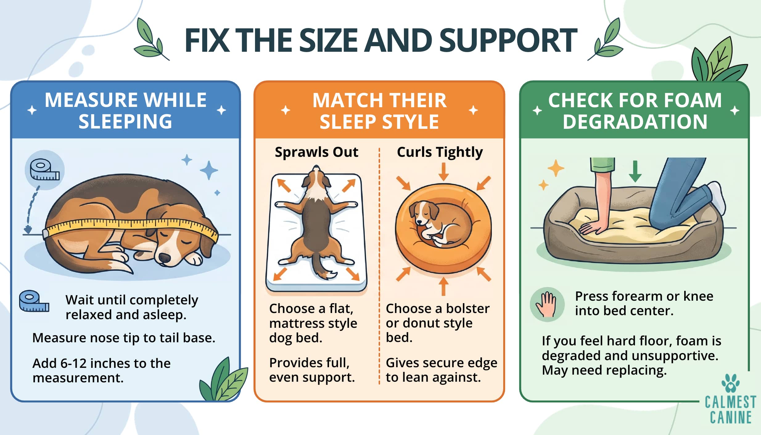 How to Choose the Right Dog Bed Size and Support
