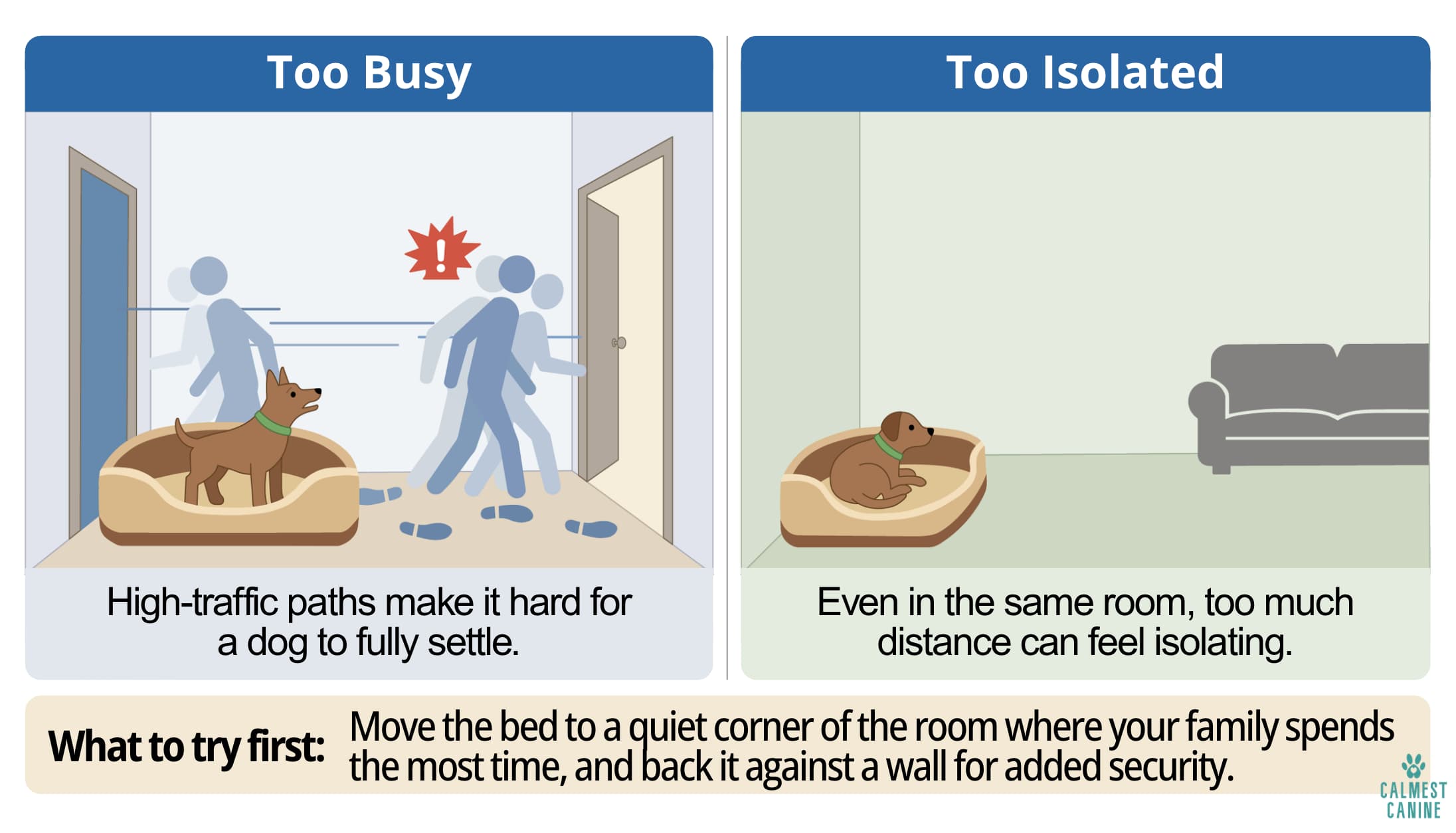 Side-by-side illustration showing why won't my dog use their bed, a dog bed in a busy hallway versus a quiet but isolated room with a tip to move the bed to a quiet corner where the family spends time.